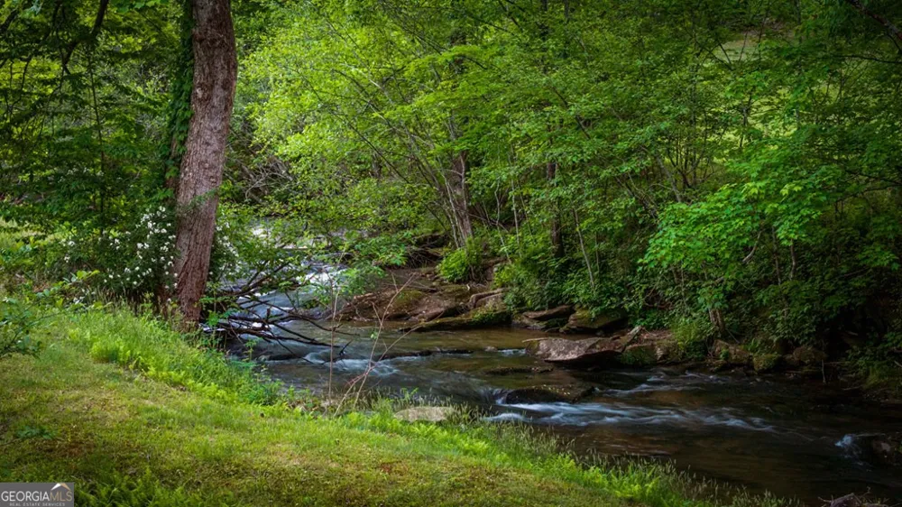 2100 Big Creek RD Cherry Log, GA 30522