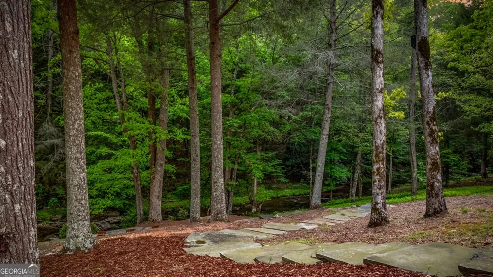 2100 Big Creek RD Cherry Log, GA 30522