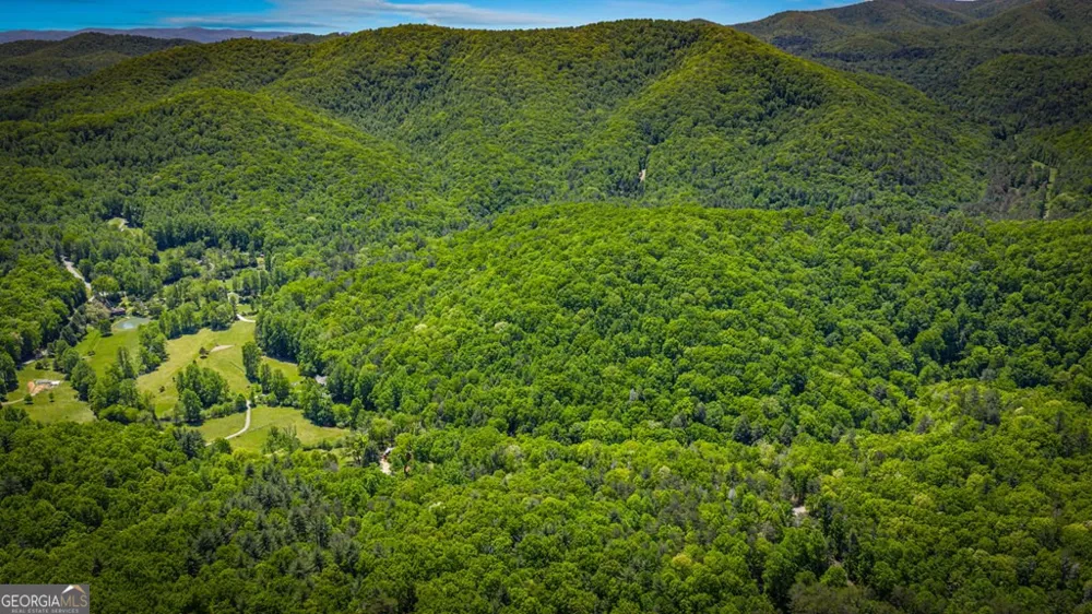 2100 Big Creek RD Cherry Log, GA 30522