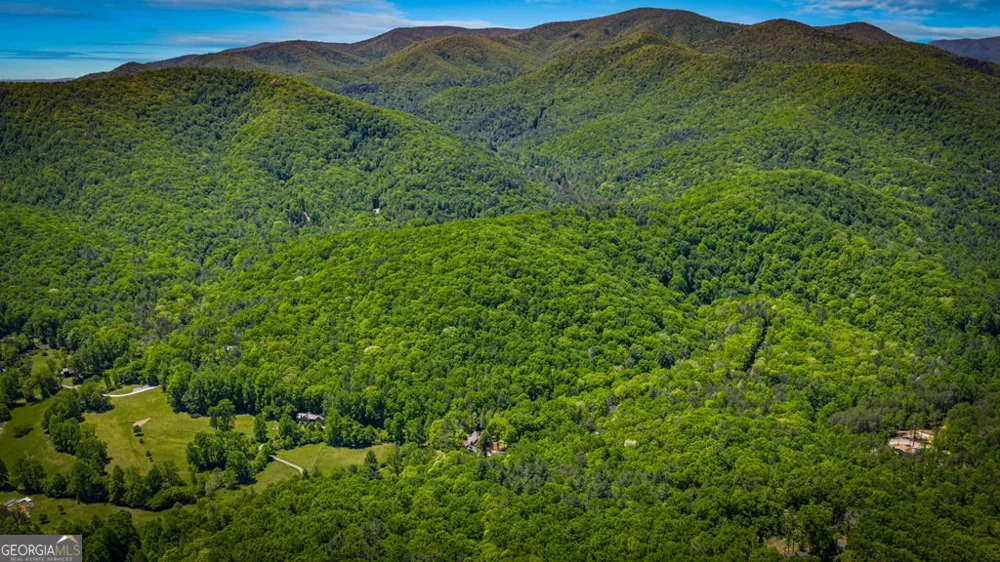 2100 Big Creek RD Cherry Log, GA 30522