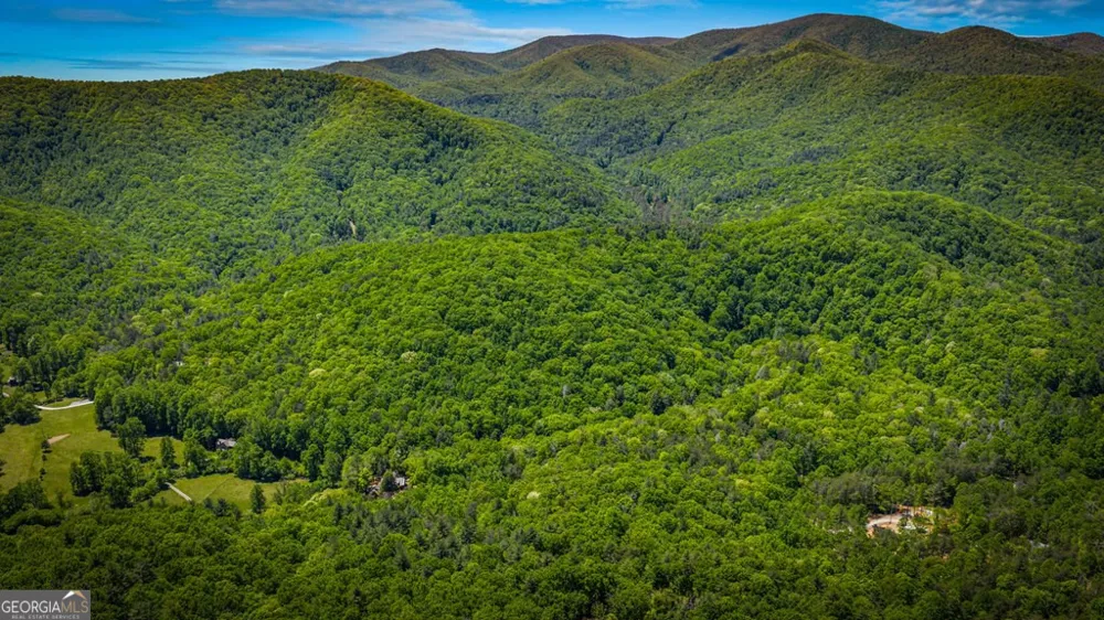 2100 Big Creek RD Cherry Log, GA 30522