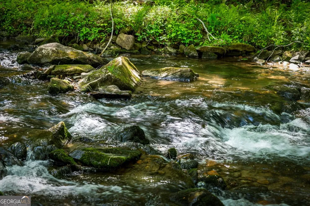 2100 Big Creek RD Cherry Log, GA 30522