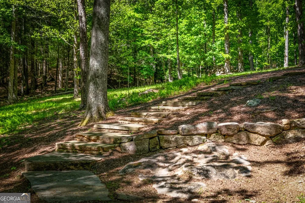 2100 Big Creek RD Cherry Log, GA 30522