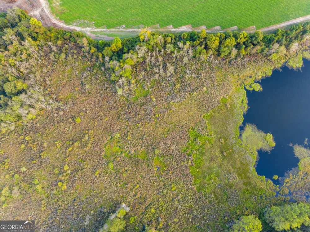 0 McElveen Kendrick Pond RD Brooklet, GA 30415