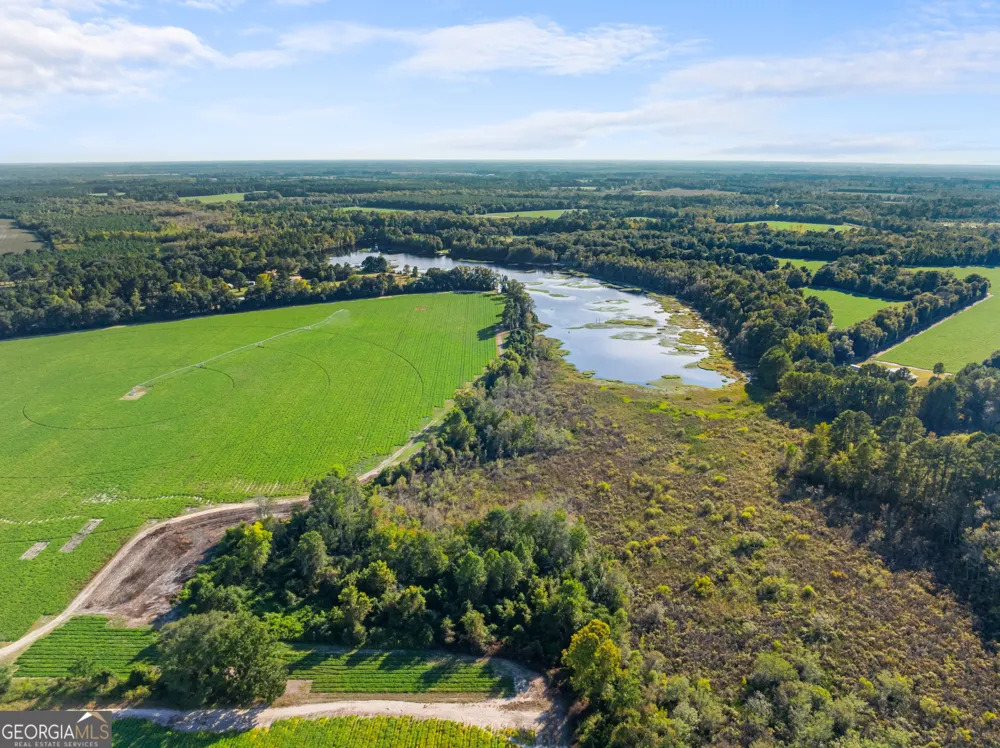 0 McElveen Kendrick Pond RD Brooklet, GA 30415