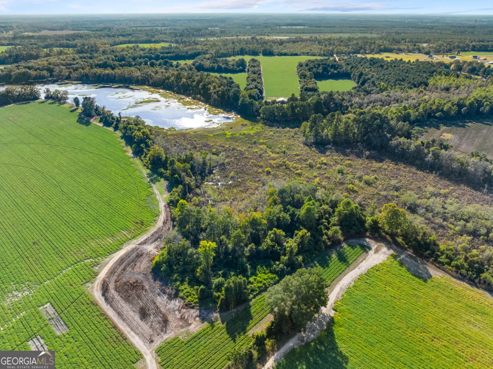 0 McElveen Kendrick Pond RD Brooklet, GA 30415
