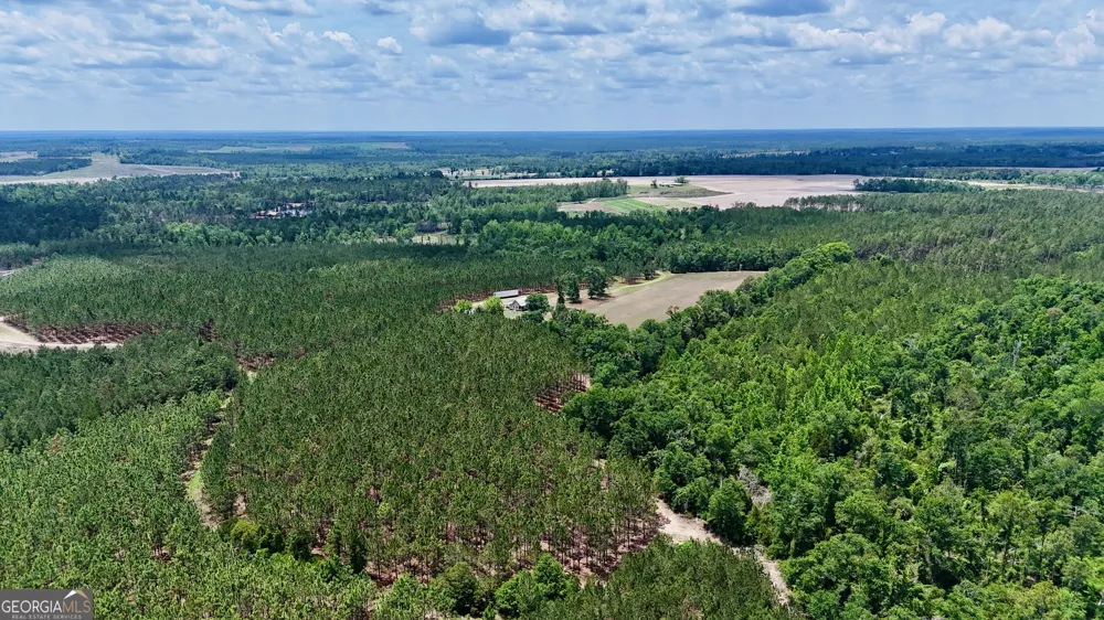 0 Neily Wagon RD Mcrae-Helena, GA 31055