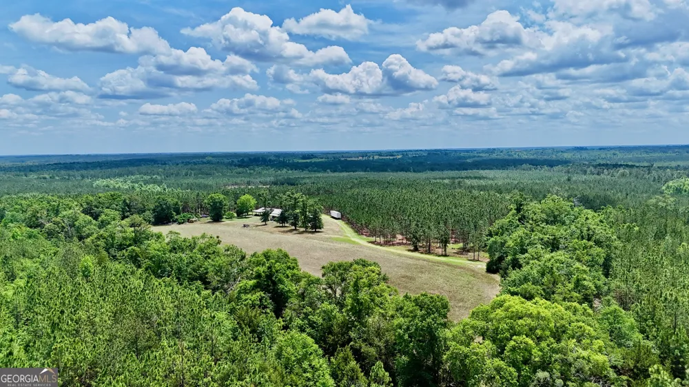 0 Neily Wagon RD Mcrae-Helena, GA 31055
