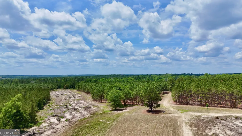 0 Neily Wagon RD Mcrae-Helena, GA 31055