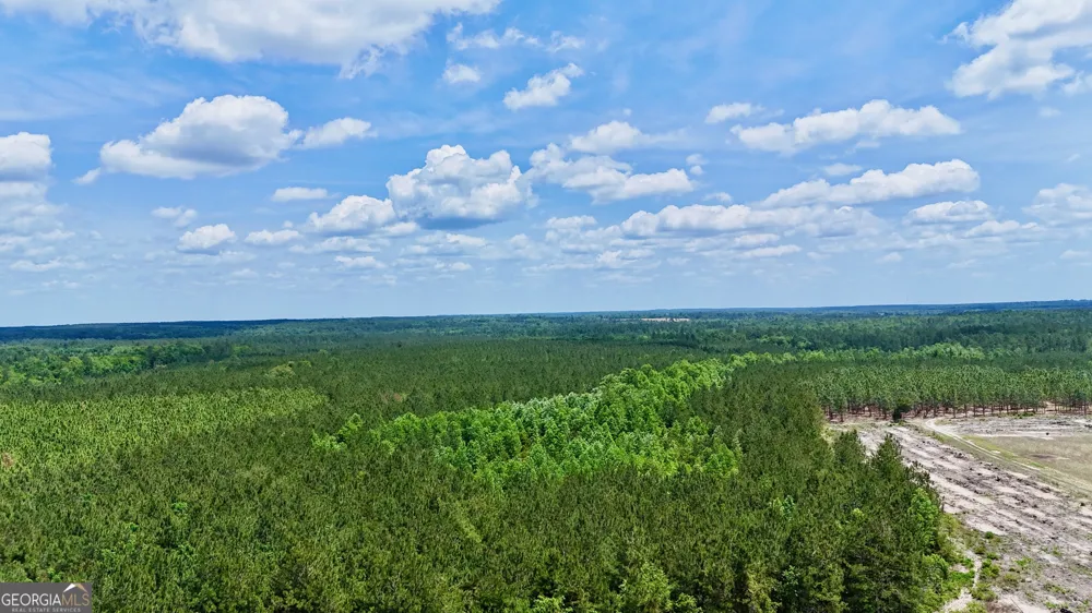 0 Neily Wagon RD Mcrae-Helena, GA 31055