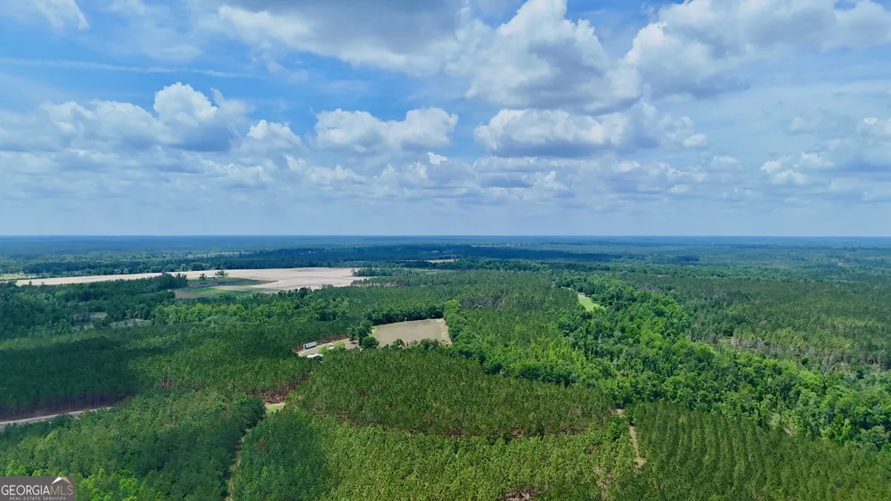 0 Neily Wagon RD Mcrae-Helena, GA 31055