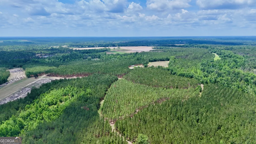 0 Neily Wagon RD Mcrae-Helena, GA 31055