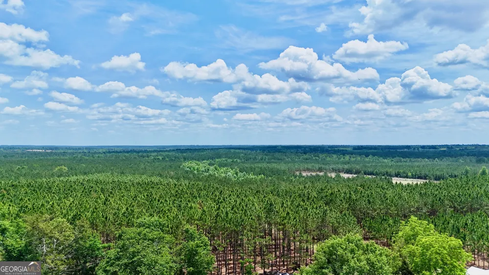 0 Neily Wagon RD Mcrae-Helena, GA 31055