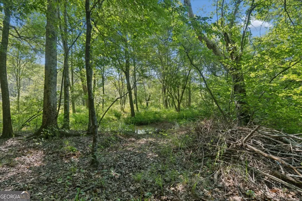 3610 Hwy 142 Newborn, GA 30056