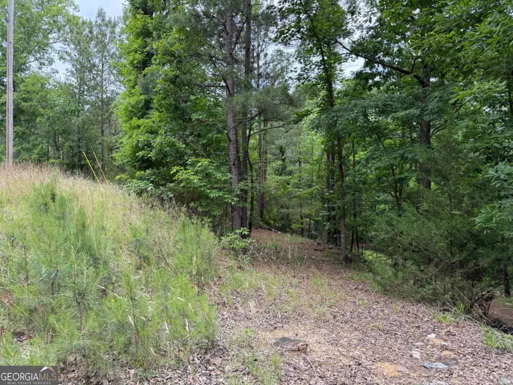 0 Bramlett CIR Elberton, GA 30635