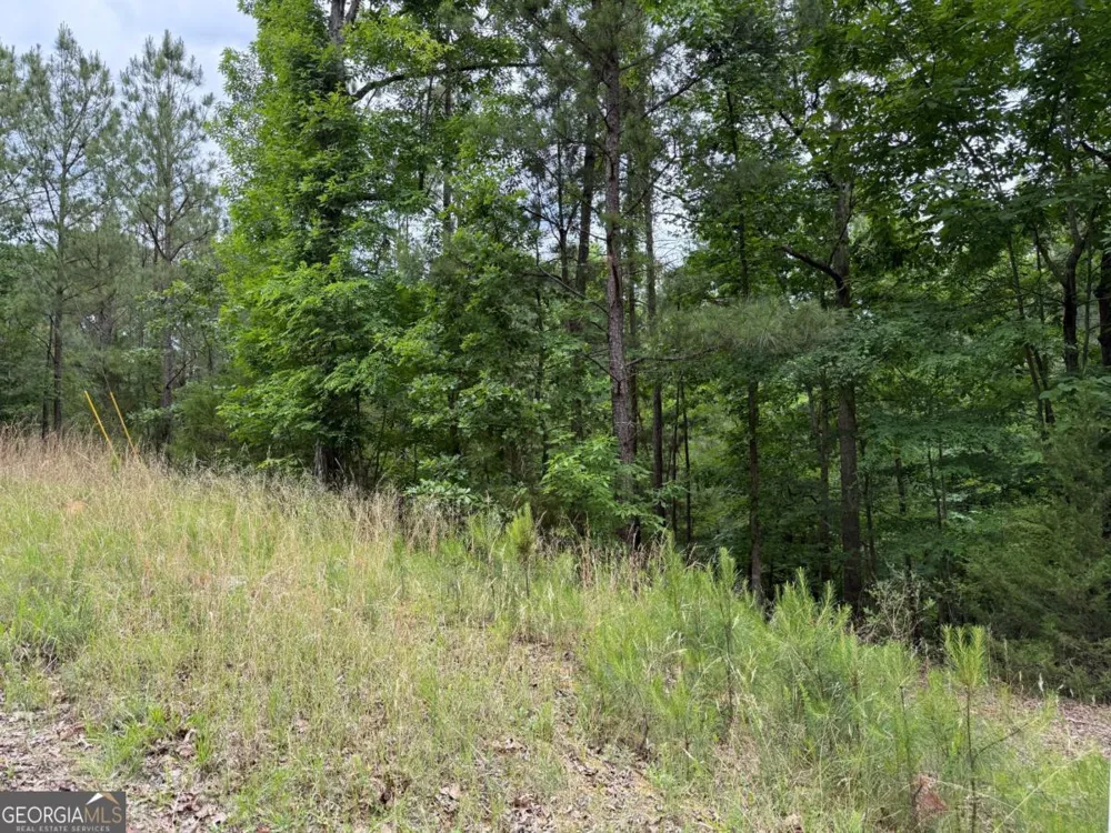 0 Bramlett CIR Elberton, GA 30635