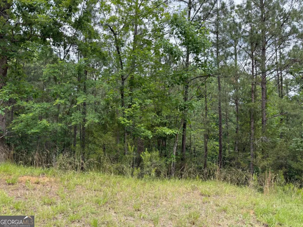 LOT 52 Bramlett Cr Elberton, GA 30635
