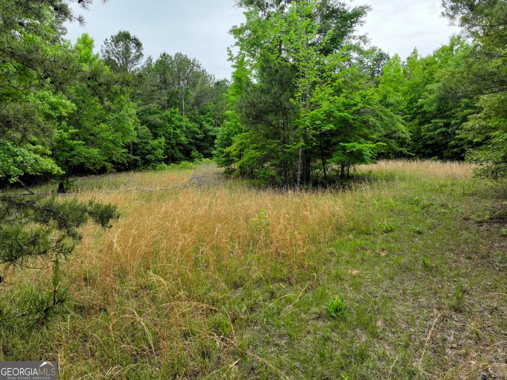 1099 Dixon RD Milledgeville, GA 31061
