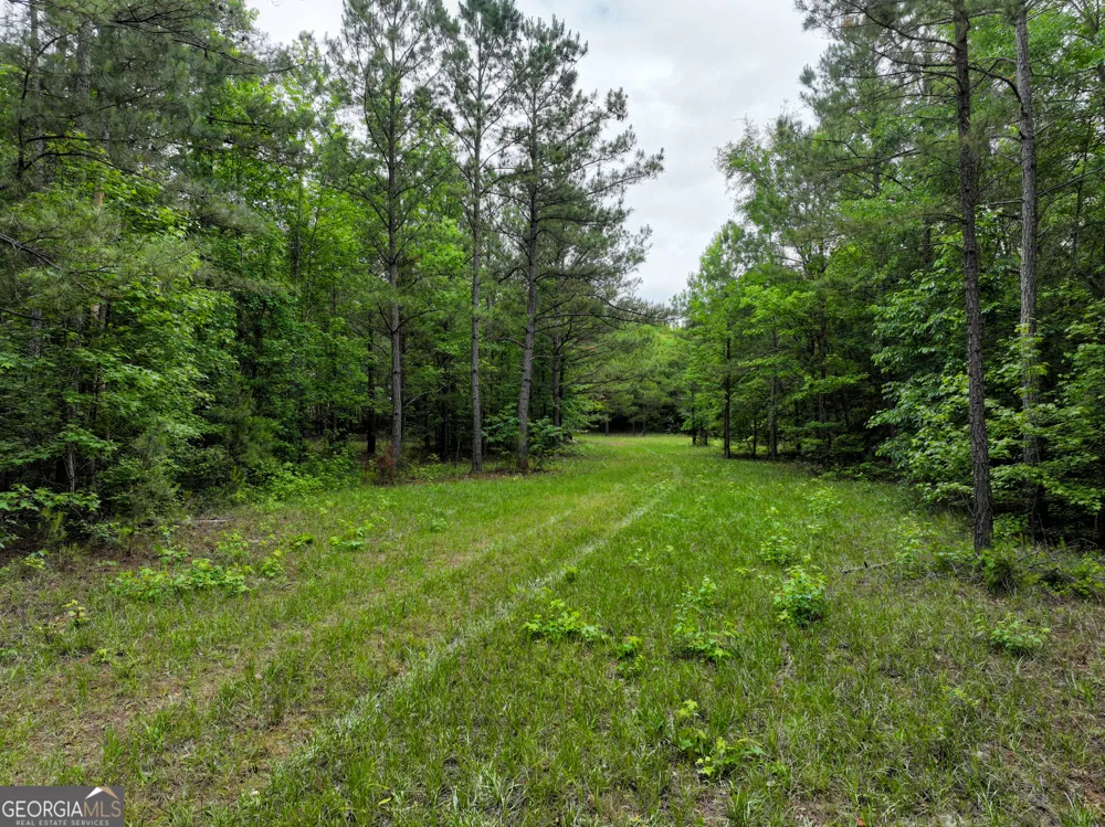 1099 Dixon RD Milledgeville, GA 31061