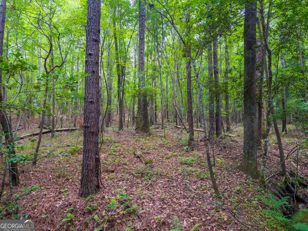 1099 Dixon RD Milledgeville, GA 31061