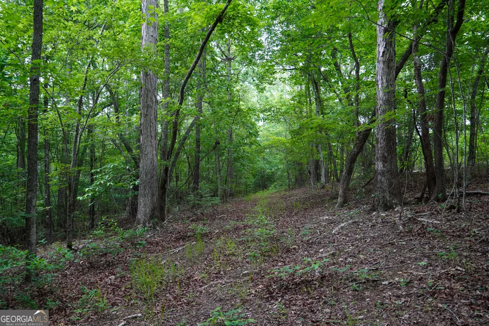 1099 Dixon RD Milledgeville, GA 31061