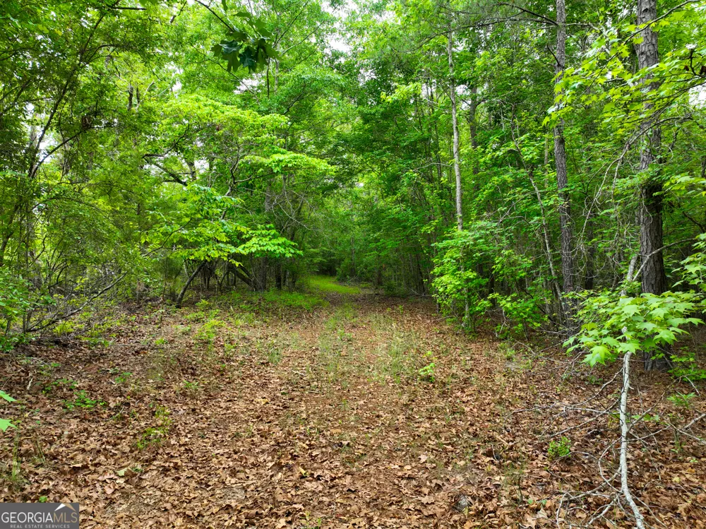 1099 Dixon RD Milledgeville, GA 31061
