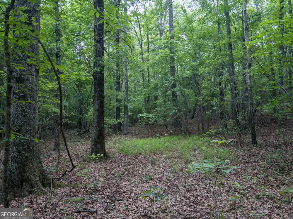 1099 Dixon RD Milledgeville, GA 31061