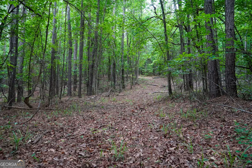 1099 Dixon RD Milledgeville, GA 31061
