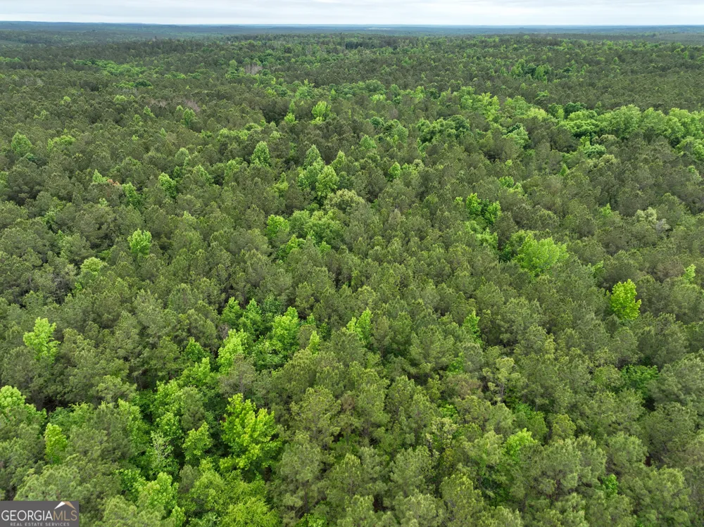 1099 Dixon RD Milledgeville, GA 31061