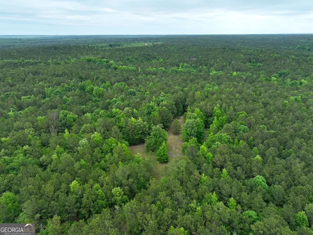 1099 Dixon RD Milledgeville, GA 31061