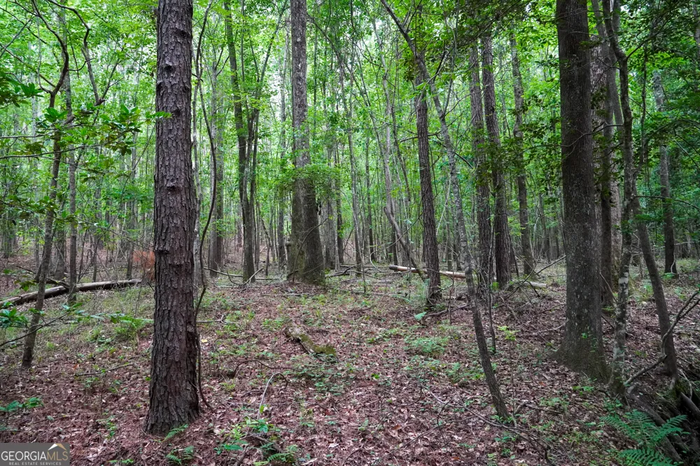 1099 Dixon RD Milledgeville, GA 31061