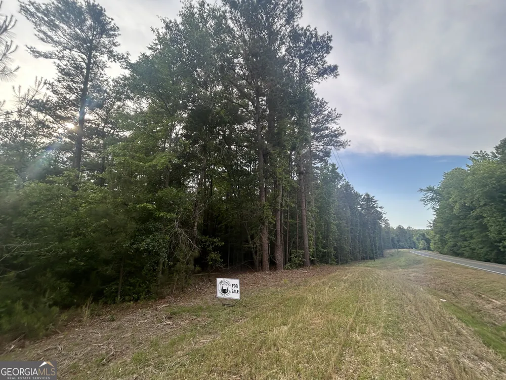 0 Sparta RD Crawfordville, GA 30631