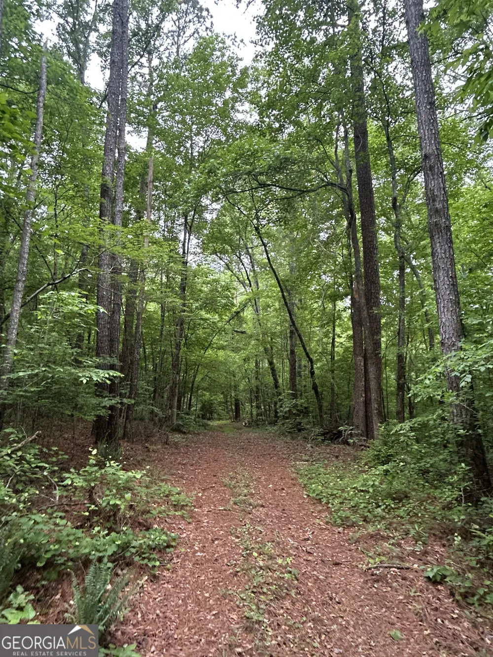 0 Sparta RD Crawfordville, GA 30631