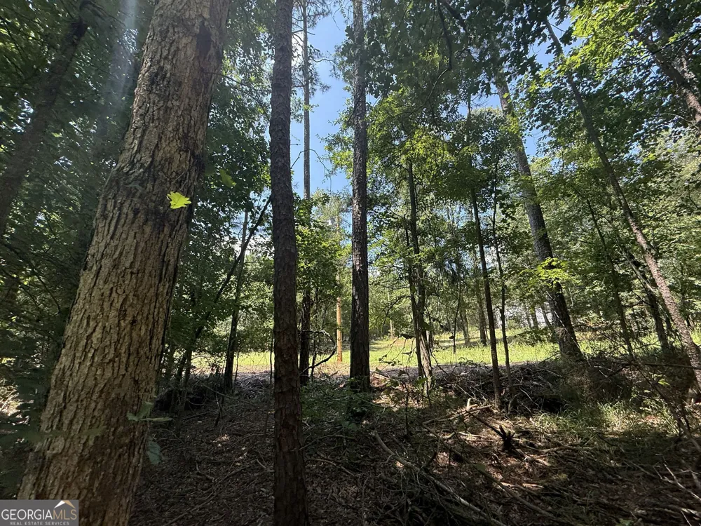 2128 Amberly RD Elberton, GA 30635