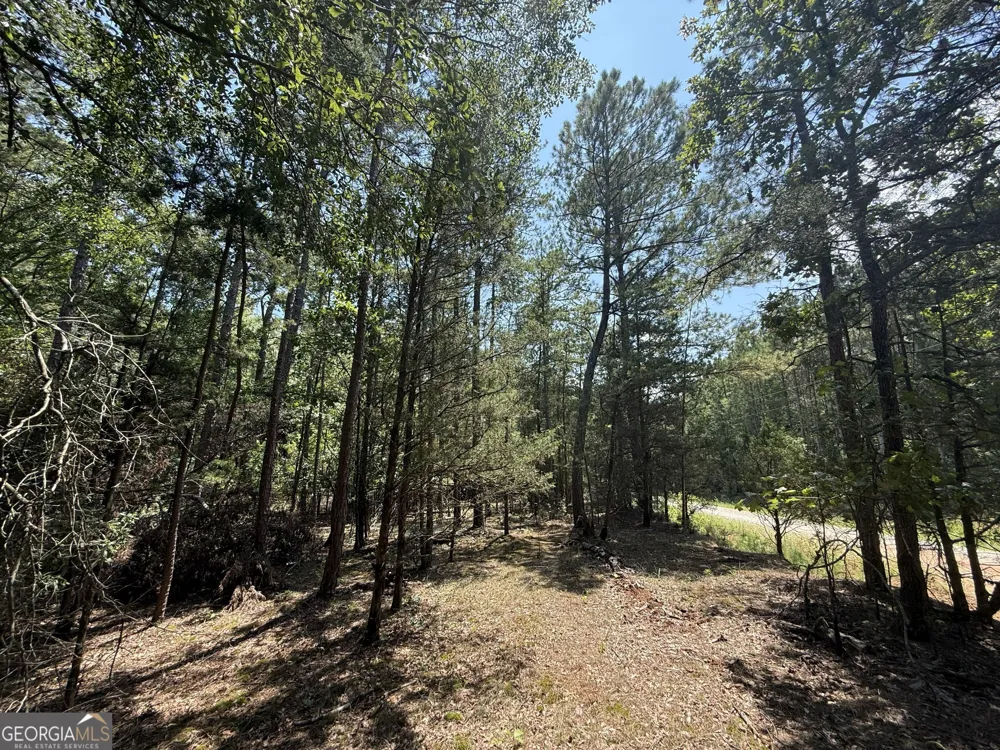 2128 Amberly RD Elberton, GA 30635