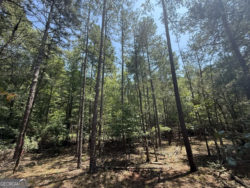 2128 Amberly RD Elberton, GA 30635