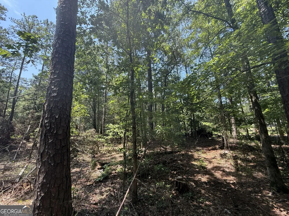 2128 Amberly RD Elberton, GA 30635