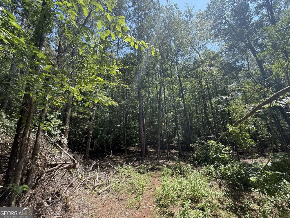 2128 Amberly RD Elberton, GA 30635