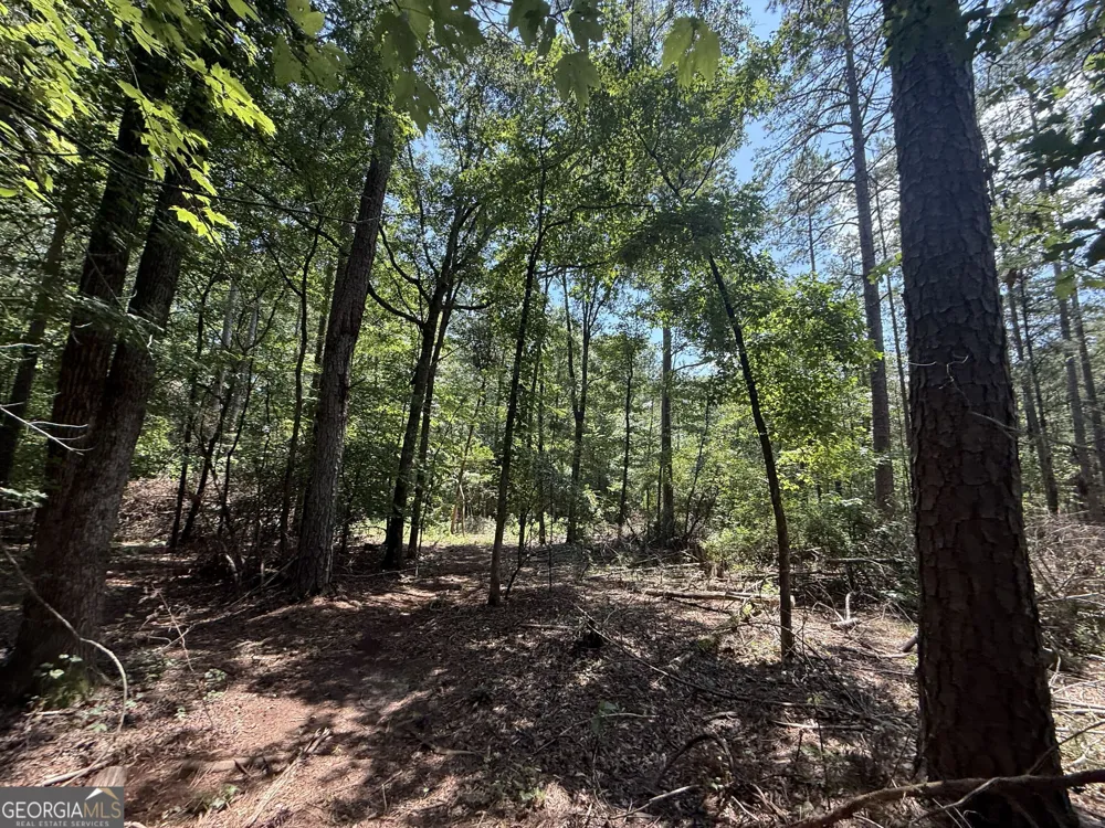 2128 Amberly RD Elberton, GA 30635