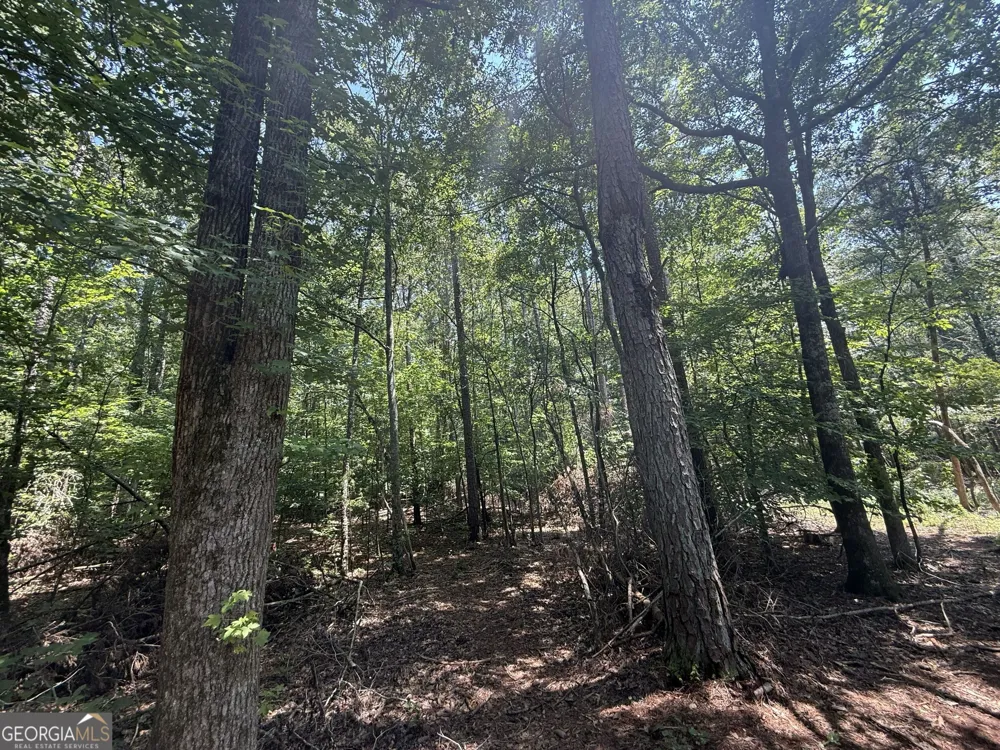 2128 Amberly RD Elberton, GA 30635