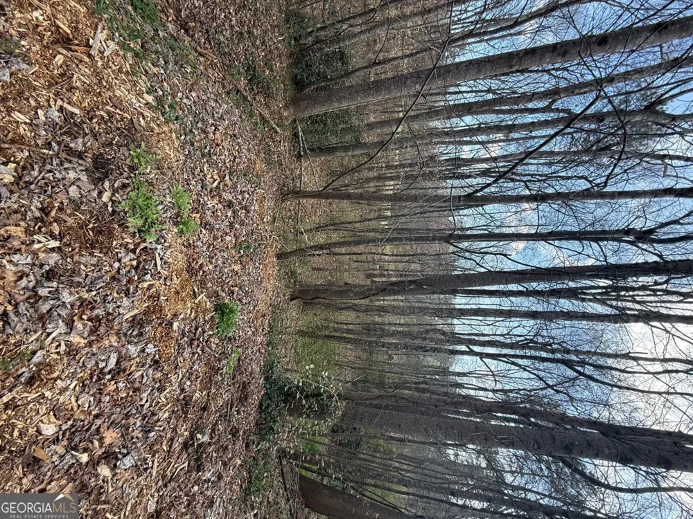 0 Willow Gate TRCE Auburn, GA 30011