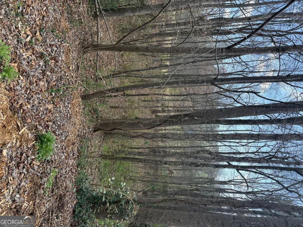 0 Willow Gate TRCE Auburn, GA 30011