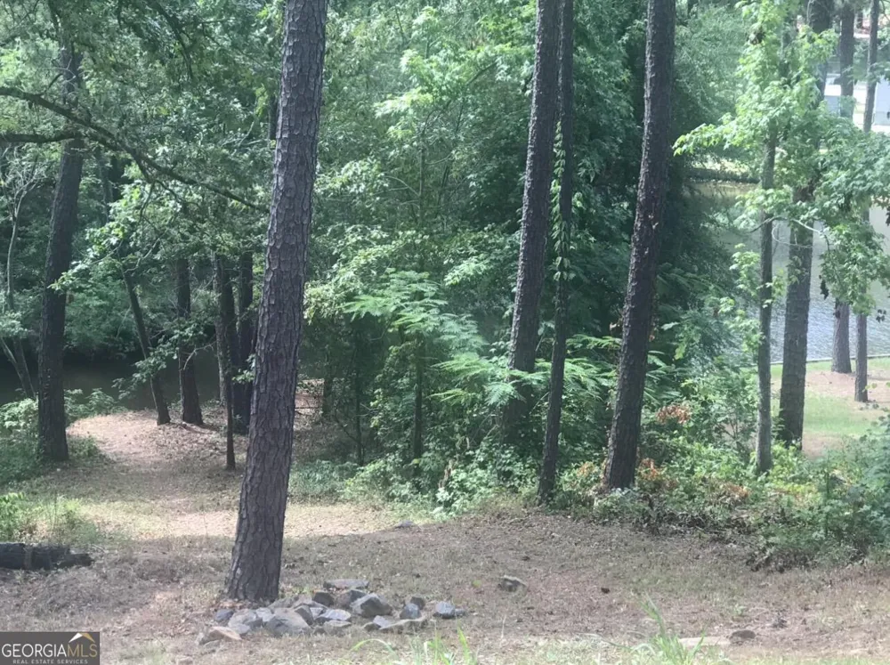 333 Venture TRL Sparta, GA 31087