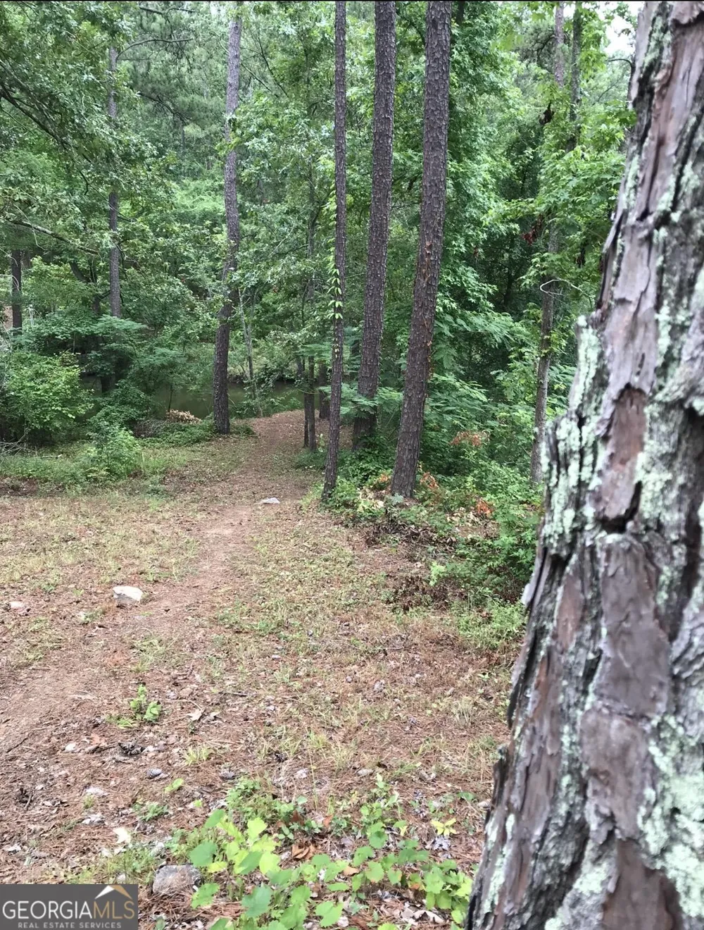 333 Venture TRL Sparta, GA 31087