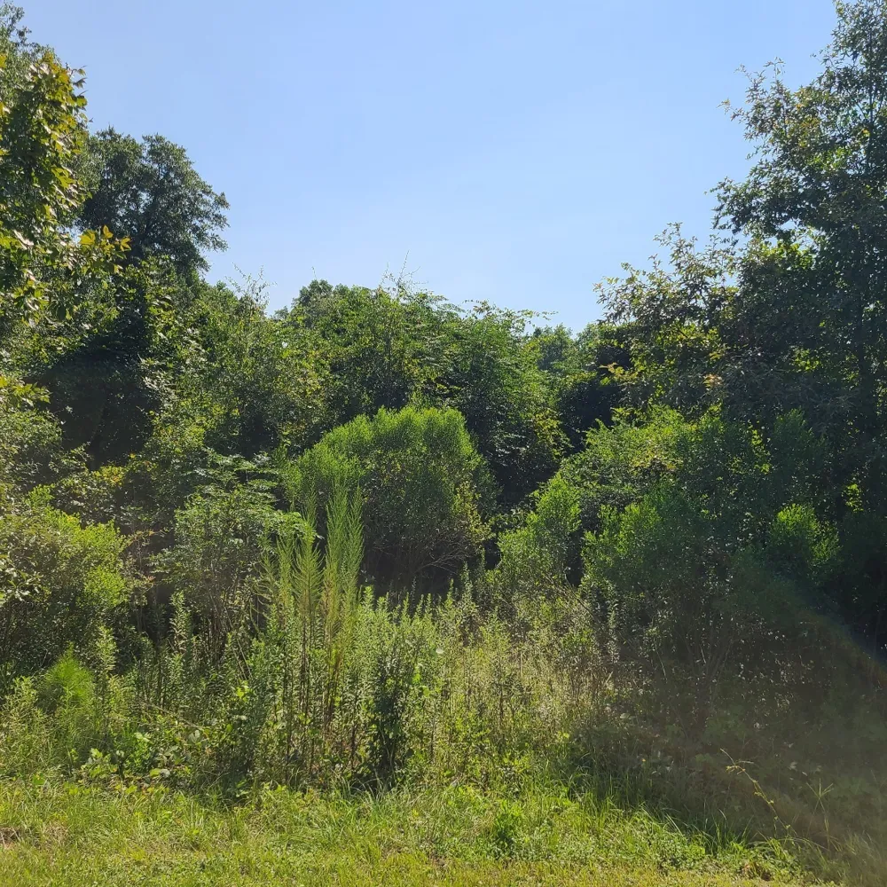 2XX Airport RD Perry, GA 31069