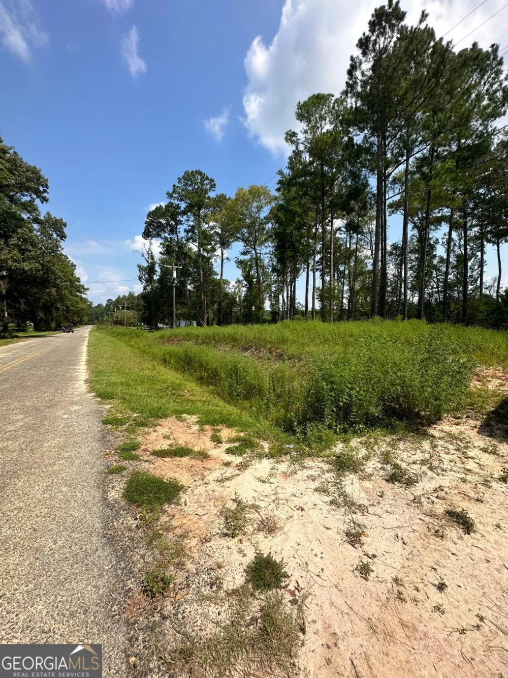 0 Dead River Rd Lots #25, 26, 27, 32 Uvalda, GA 30473