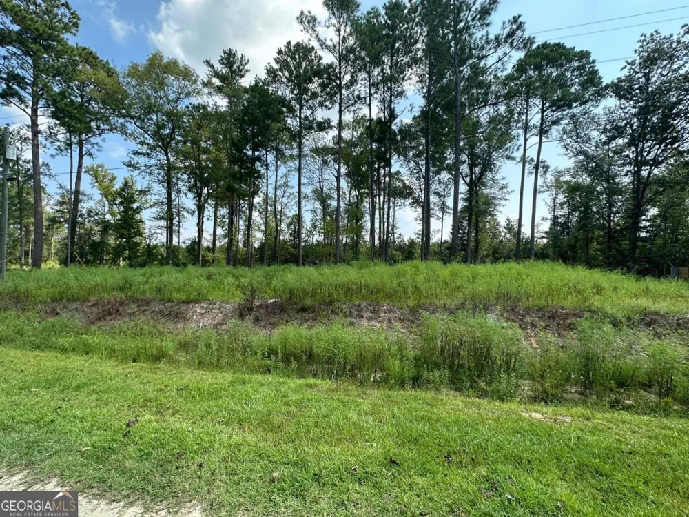 0 Dead River Rd Lots #25, 26, 27, 32 Uvalda, GA 30473