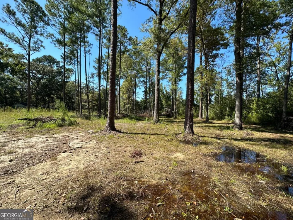 0 Dead River Rd Lots #25, 26, 27, 32 Uvalda, GA 30473