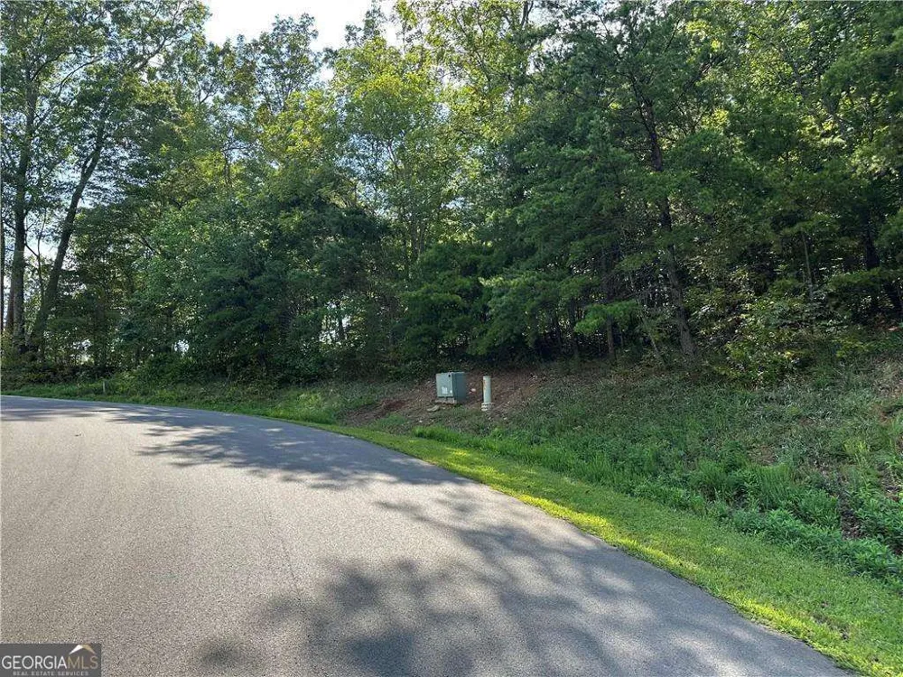 257 Andes RDG Jasper, GA 30143