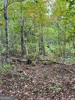 257 Andes RDG Jasper, GA 30143